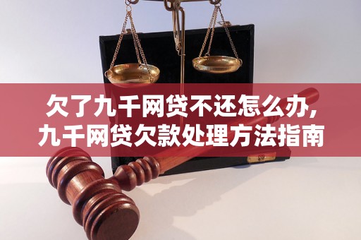 欠了九千网贷不还怎么办,九千网贷欠款处理方法指南