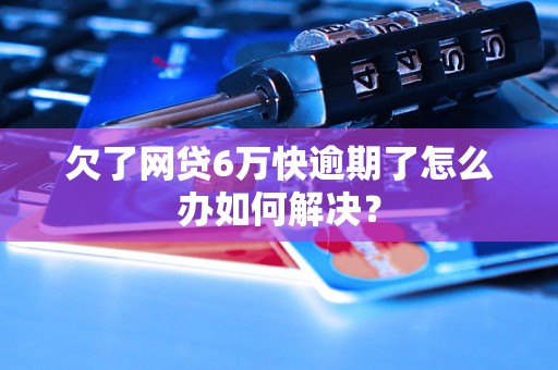 欠了网贷6万快逾期了怎么办如何解决？