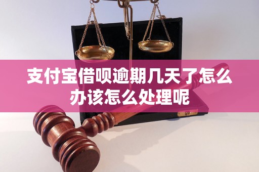 支付宝借呗逾期几天了怎么办该怎么处理呢