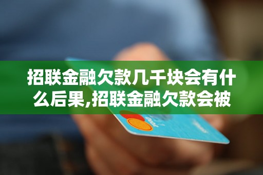 招联金融欠款几千块会有什么后果,招联金融欠款会被追究责任吗