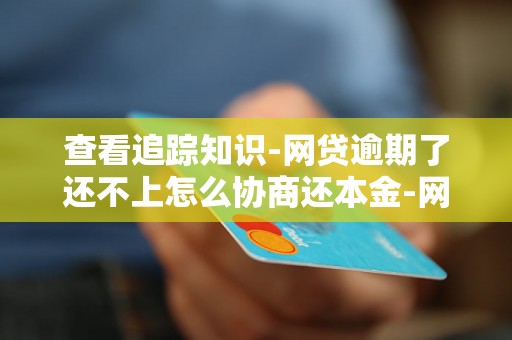 查看追踪知识-网贷逾期了还不上怎么协商还本金-网贷逾期了暂时还不上怎么协商