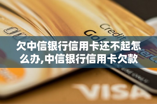 欠中信银行信用卡还不起怎么办,中信银行信用卡欠款处理方法