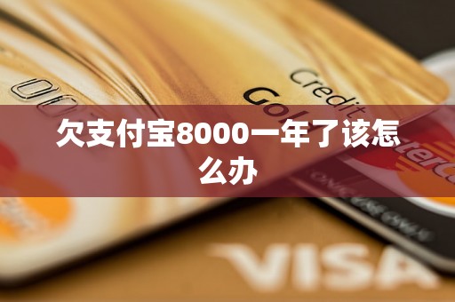 欠支付宝8000一年了该怎么办