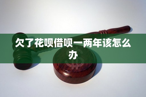 欠了花呗借呗一两年该怎么办