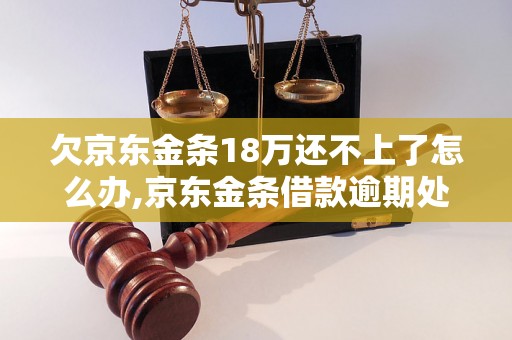 欠京东金条18万还不上了怎么办,京东金条借款逾期处理方法