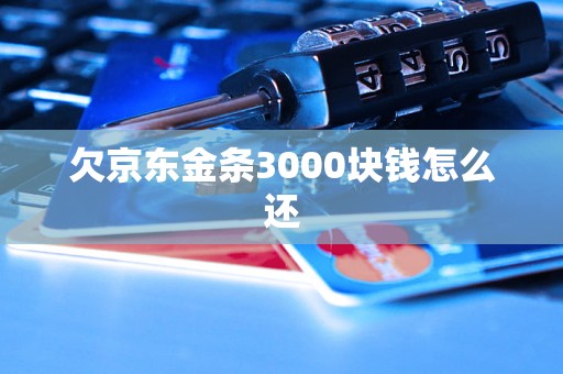 欠京东金条3000块钱怎么还