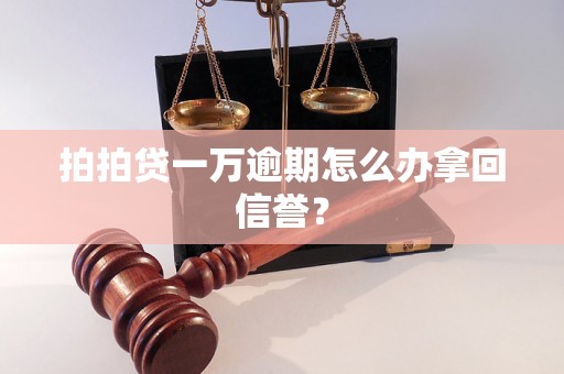 拍拍贷一万逾期怎么办拿回信誉？