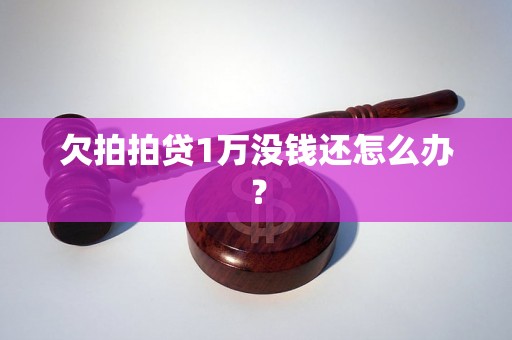 欠拍拍贷1万没钱还怎么办？