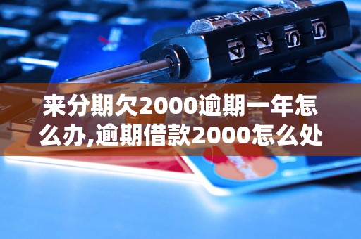 来分期欠2000逾期一年怎么办,逾期借款2000怎么处理