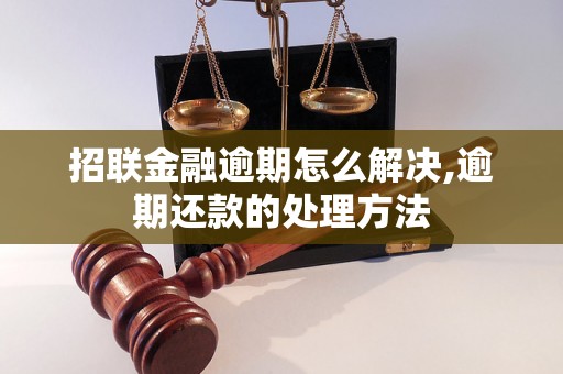 招联金融逾期怎么解决,逾期还款的处理方法