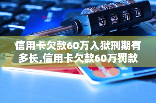 信用卡欠款60万入狱刑期有多长,信用卡欠款60万罚款多少