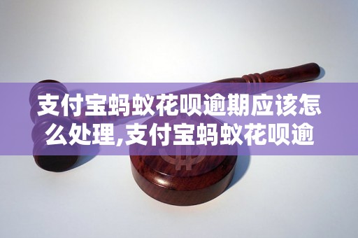 支付宝蚂蚁花呗逾期应该怎么处理,支付宝蚂蚁花呗逾期后果严重吗