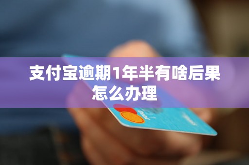 支付宝逾期1年半有啥后果怎么办理