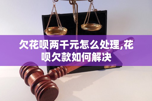 欠花呗两千元怎么处理,花呗欠款如何解决