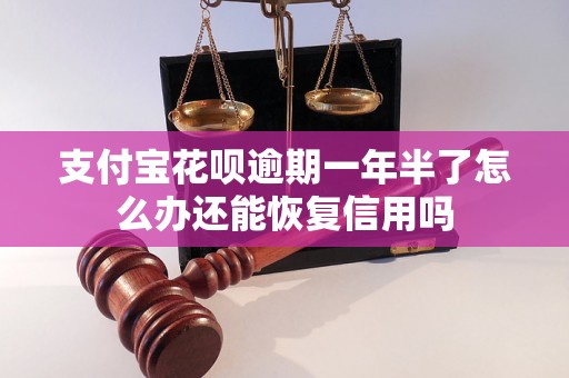 支付宝花呗逾期一年半了怎么办还能恢复信用吗