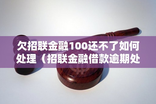 欠招联金融100还不了如何处理（招联金融借款逾期处理方式）