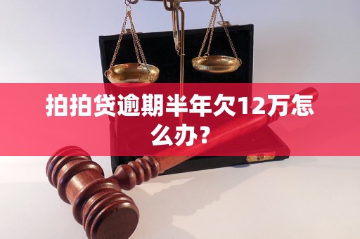 拍拍贷逾期半年欠12万怎么办？