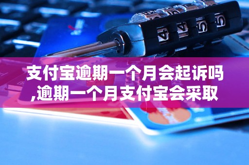 支付宝逾期一个月会起诉吗,逾期一个月支付宝会采取什么措施