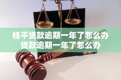 桂平贷款逾期一年了怎么办贷款逾期一年了怎么办