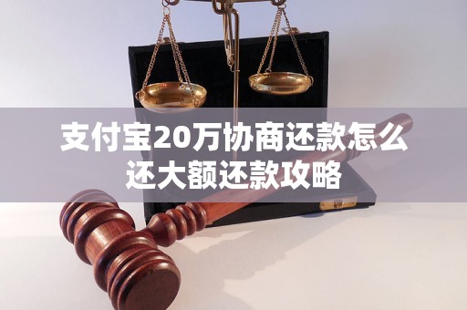 支付宝20万协商还款怎么还大额还款攻略