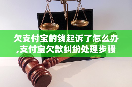 欠支付宝的钱起诉了怎么办,支付宝欠款纠纷处理步骤