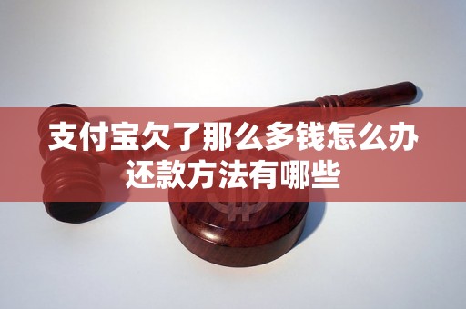 支付宝欠了那么多钱怎么办还款方法有哪些