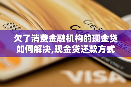 欠了消费金融机构的现金贷如何解决,现金贷还款方式有哪些