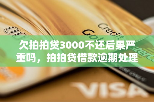 欠拍拍贷3000不还后果严重吗，拍拍贷借款逾期处理方法