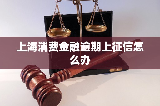 上海消费金融逾期上征信怎么办