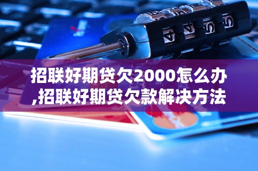 招联好期贷欠2000怎么办,招联好期贷欠款解决方法