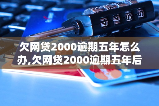 欠网贷2000逾期五年怎么办,欠网贷2000逾期五年后果严重吗