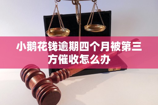 小鹅花钱逾期四个月被第三方催收怎么办