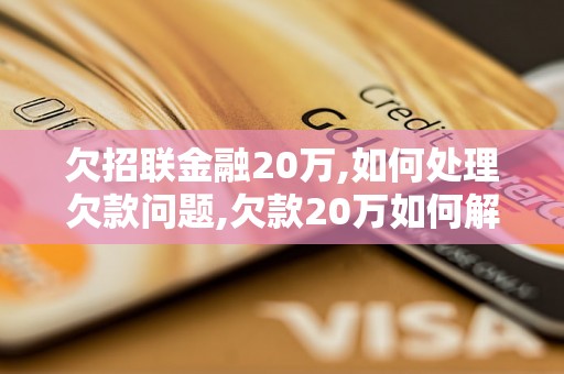 欠招联金融20万,如何处理欠款问题,欠款20万如何解决