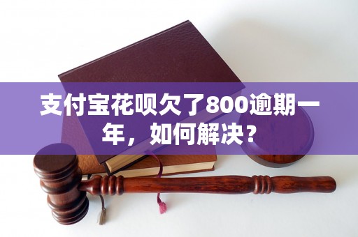 支付宝花呗欠了800逾期一年，如何解决？