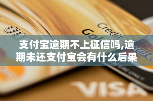 支付宝逾期不上征信吗,逾期未还支付宝会有什么后果