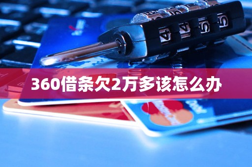 360借条欠2万多该怎么办