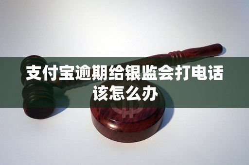 支付宝逾期给银监会打电话该怎么办