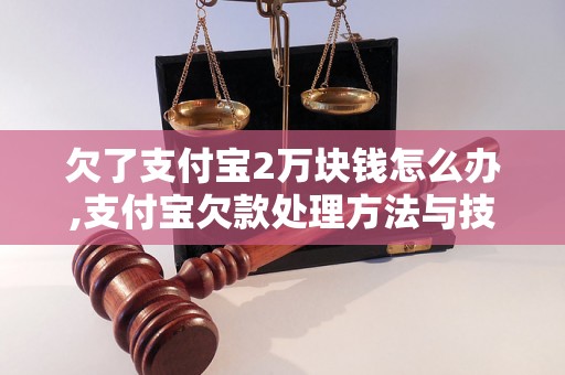 欠了支付宝2万块钱怎么办,支付宝欠款处理方法与技巧