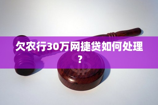 欠农行30万网捷贷如何处理？