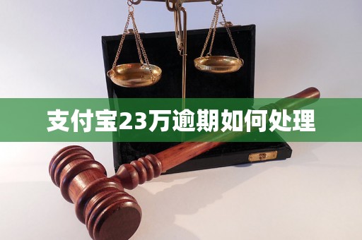 支付宝23万逾期如何处理