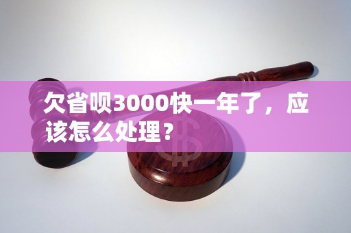 欠省呗3000快一年了，应该怎么处理？                    欠省呗3000快一年了，逾期会有什么后果？                    欠省呗3000快一年了，如何解决还款问题？