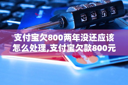 支付宝欠800两年没还应该怎么处理,支付宝欠款800元怎么解决