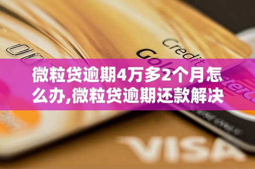 微粒贷逾期4万多2个月怎么办,微粒贷逾期还款解决方案