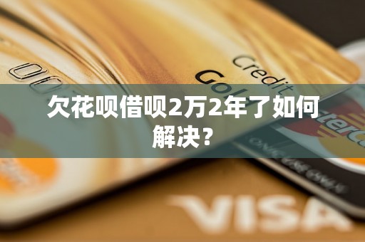 欠花呗借呗2万2年了如何解决？