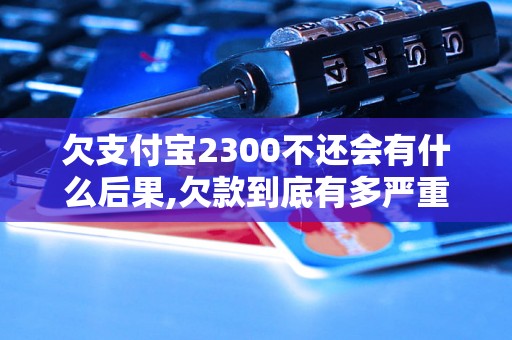 欠支付宝2300不还会有什么后果,欠款到底有多严重