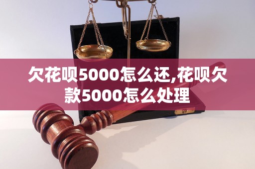 欠花呗5000怎么还,花呗欠款5000怎么处理