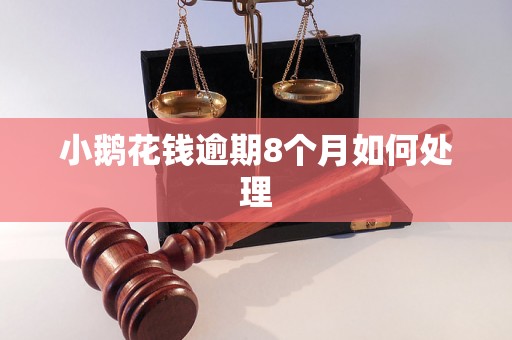 小鹅花钱逾期8个月如何处理