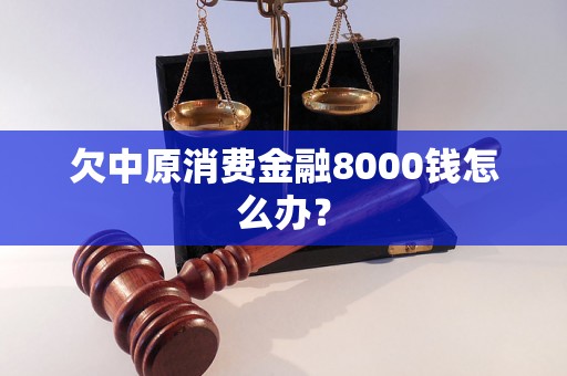 欠中原消费金融8000钱怎么办？