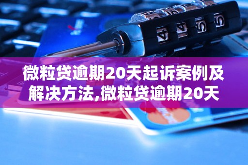 微粒贷逾期20天起诉案例及解决方法,微粒贷逾期20天后会发生什么