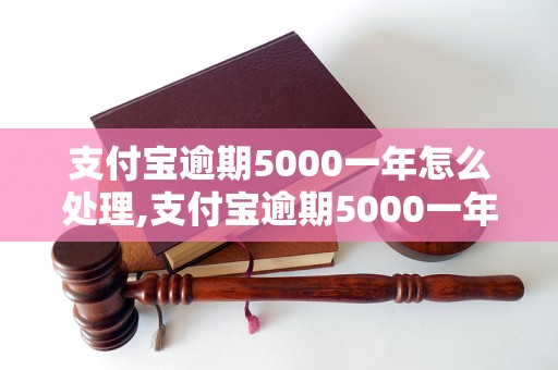 支付宝逾期5000一年怎么处理,支付宝逾期5000一年会有什么后果